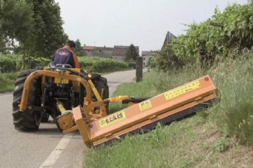 Operaio addetto al taglio di siepi debordanti su strada pubblica